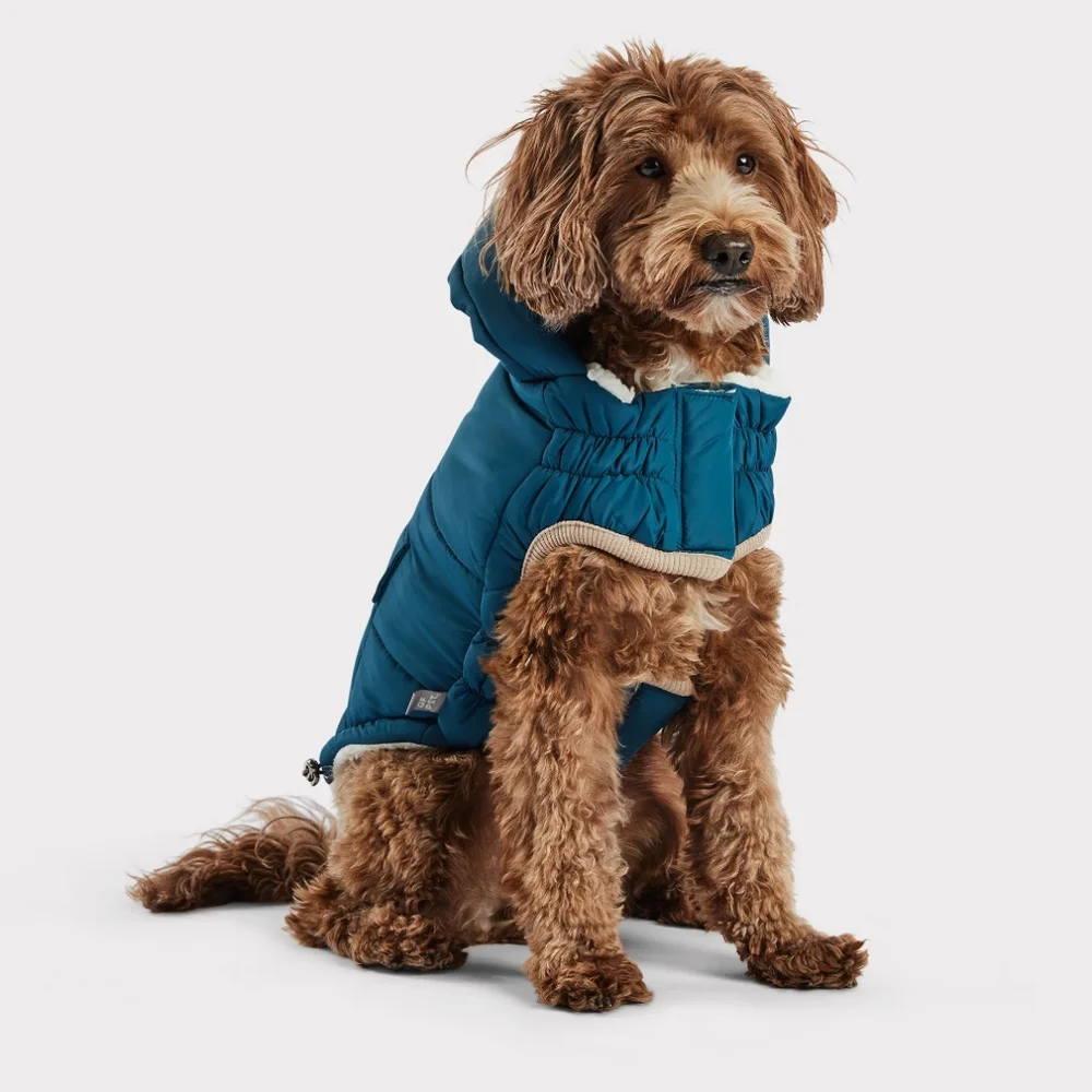 GF Pet Elasto-fit Nordic Dog Parka, Teal, Small